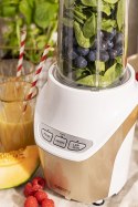 CR 4071 BLENDER  PERSONALNY -  POWERFUL NUTRI