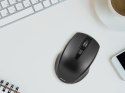 MYSZ TRACER DEAL BLACK RF NANO