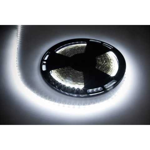 SZNUR DIODOWY 25M REBEL (1500x5050 SMD) ZIMNY BIAŁY, 12V SZNUR DIODOWY 25M REBEL (1500x5050 SMD) ZIMNY BIAŁY, 12V