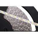SZNUR DIODOWY 25M REBEL (1500x5050 SMD) ZIMNY BIAŁY, 12V