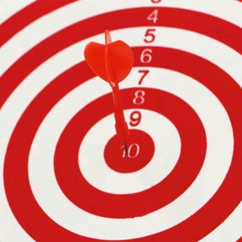 AG144E TARCZA DART DWUSTRONNA 30CM AG144E TARCZA DART DWUSTRONNA 30CM