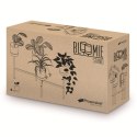 KWIETNIK BLOOMIE STAND - BETON