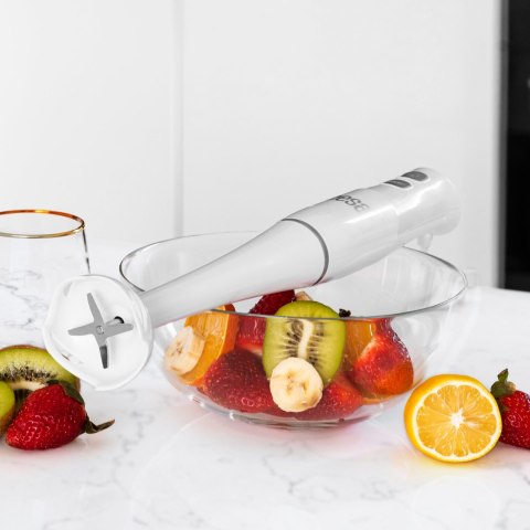 BLENDER RĘCZNY 400W BIAŁY BLENDER RĘCZNY 400W BIAŁY