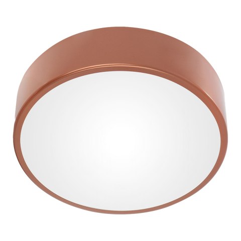 OVO PLAFON 2xE27, 2x24W, MIEDZIANA STAL, KLOSZ PLASTIKOWY MATOWY, IP54, ? 300 OVO PLAFON 2xE27, 2x24W, MIEDZIANA STAL, KLOSZ PLASTIKOWY MATOWY, IP54, ? 300