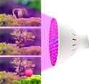 LAM PA 200 LED DO WZROSTU U PRAWY ROŚLIN