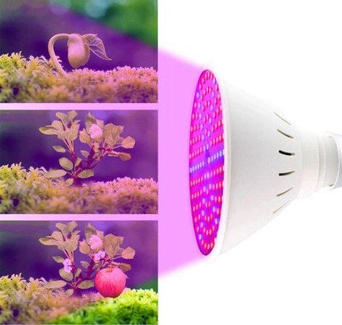 LAM PA 200 LED DO WZROSTU U PRAWY ROŚLIN LAM PA 200 LED DO WZROSTU U PRAWY ROŚLIN