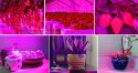 LAM PA 200 LED DO WZROSTU U PRAWY ROŚLIN