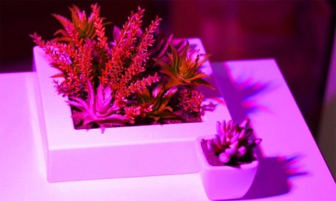 LAM PA 200 LED DO WZROSTU U PRAWY ROŚLIN LAM PA 200 LED DO WZROSTU U PRAWY ROŚLIN