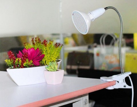 LAM PA 200 LED DO WZROSTU U PRAWY ROŚLIN LAM PA 200 LED DO WZROSTU U PRAWY ROŚLIN