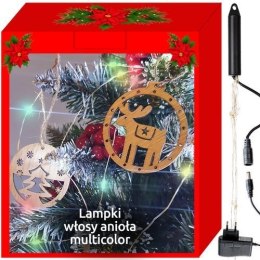 LAM PKI 200 LED - WŁOSY ANIOŁA - MULTICOLOR 12V