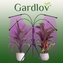 LAM PA 20 LED 4SZT. DO WZROSTU ROŚLIN GARDLOV 19388