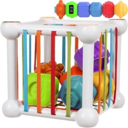 SORTER- KOSTKA SENSORYCZNA KRUZZEL 20377