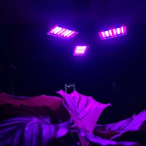 LAM PA 108 LED DO WZROSTU ROŚLIN GARDLOV 20440 LAM PA 108 LED DO WZROSTU ROŚLIN GARDLOV 20440
