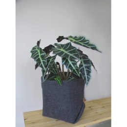 BERTONI EE OSŁONKA NA DONICZKĘ SIM PLE XL - 25 CM