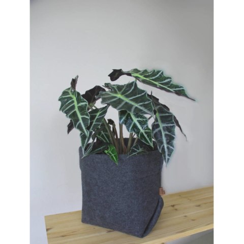 BERTONI EE OSŁONKA NA DONICZKĘ SIM PLE XL - 25 CM BERTONI EE OSŁONKA NA DONICZKĘ SIM PLE XL - 25 CM