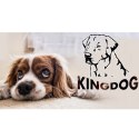 LEGOWISKO DLA  PSA 130 x 105 BEŻOWE KINGDOG