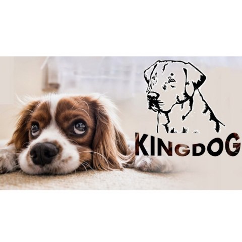 LEGOWISKO DLA PSA 145 x 115 CZERWONE KINGDOG LEGOWISKO DLA PSA 145 x 115 CZERWONE KINGDOG