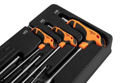 KLUCZE HEx 6 SZT. WKŁADKA KLUCZE HEx 6 SZT. WKŁADKA