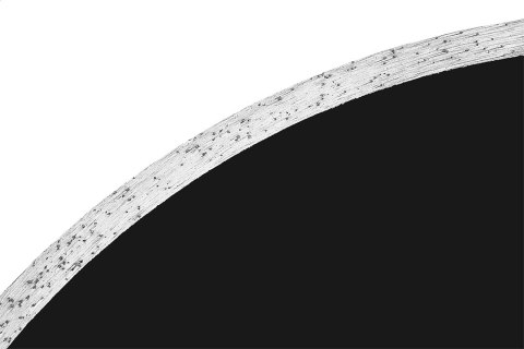 TARCZA DIAMENTOWA 230 x 25,4 MM, PEŁNA DO 59G891 TARCZA DIAMENTOWA 230 x 25,4 MM, PEŁNA DO 59G891
