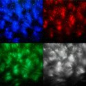PROJEKTOR LED Z GŁOŚNIKIEM