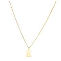 NASZYJNIK STAL CHIRURGICZNA POZŁACANA 14K GOLD NST1617