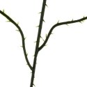 SZTUCZNE LIŚCIE 47CM- ZESTAW 12SZT. GARDLOV 22557