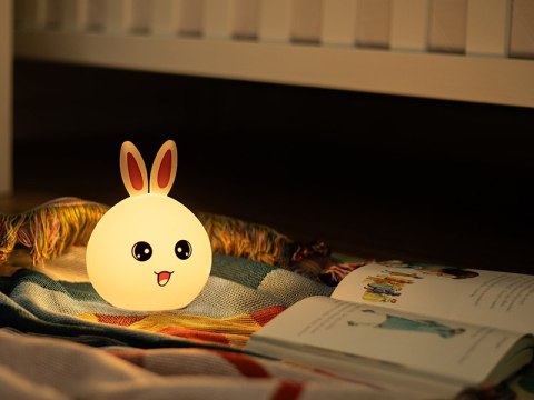 LAM PKA NOCNA TRACER BUNNY LAM PKA NOCNA TRACER BUNNY