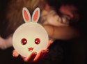 LAM PKA NOCNA TRACER BUNNY