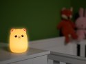 LAM PKA NOCNA TRACER TEDDY BEAR