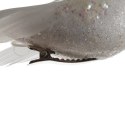 BOMBKI CHOINKOWE- PTASZKI 2SZT. RUHHY 22338 BOMBKI CHOINKOWE- PTASZKI 2SZT. RUHHY 22338
