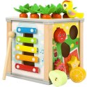 KOSTKA EDUKACYJNA DREWNIANA- SORTER KRUZZEL 22566