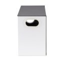 ORGANIZER  POJEMNIK NA SUSZARKO-LOKÓWKĘ DYSON AIRWRA P STYLER MACLEAN, 	367x150x220MM, 8KG, MC-478