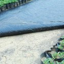 AGROTKANINA CZARNA , 1 x 5 M 100 G/M2 GR1016 AGROTKANINA CZARNA , 1 x 5 M 100 G/M2 GR1016