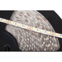 SZNUR DIODOWY 25M REBEL 300x5050 SMD) NEUTRALNY WODOOD PORNY, 12V