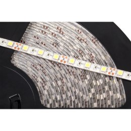 SZNUR DIODOWY 25M REBEL 300x5050 SMD) NEUTRALNY WODOOD PORNY, 12V
