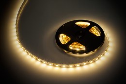 SZNUR DIODOWY 5M (300x5050 SMD) CIE PŁY BIAŁY