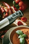 AD 4628 BLENDER RĘCZNY Z FUNKCJĄ TURBO I KRUSZENIA LODU