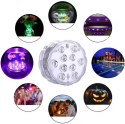 ZD115 LAM PKA LED WODOOD PORNA
