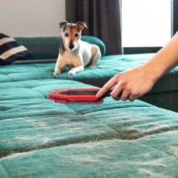 SZCZOTKA ELEKTROSTATYCZNA DO SIERŚCI I WŁOSÓW, VILEDA PET PRO