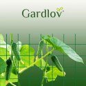 SIATKA -  POD PORA DO ROŚLIN 2x10M GARDLOV 23978