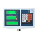 WAGA MAGAZYNOWA DO 100KG 23536