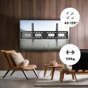 UCHWYT DO TV MACLEAN, MAx VESA 800x400, 43-120", 120KG, MC-420