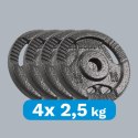 ZESTAW OBCIĄŻEŃ ŻELIWNYCH 4x2.5KG, OTWÓR 31MM, TALERZ Z UCHWYTAMI, REBEL ACTIVE