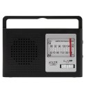 AD 1909 RADIO AM/FM - ANTENA