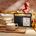 AD 1909 RADIO AM/FM - ANTENA