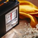 AD 1909 RADIO AM/FM - ANTENA