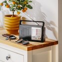 AD 1909 RADIO AM/FM - ANTENA