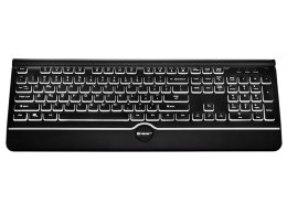 KLAWIATURA TRACER OFIS PRO USB (WHITE LIGHTENING)