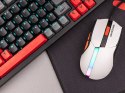 MYSZ TRACER GAMEZONE COOL WHITE RGB