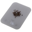 AD 3181 GREY WAGA KUCHENNA